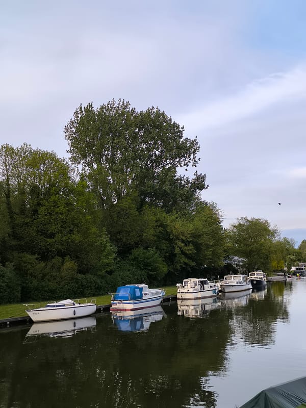 Boats moored along canal in Alkmaar, Netherlands