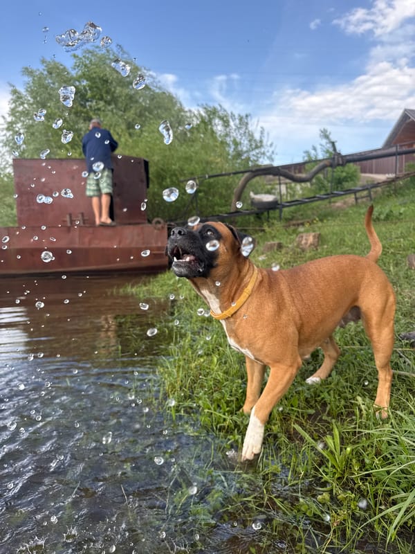 Woman documents playful day with dog and garden in Chaikovsky
