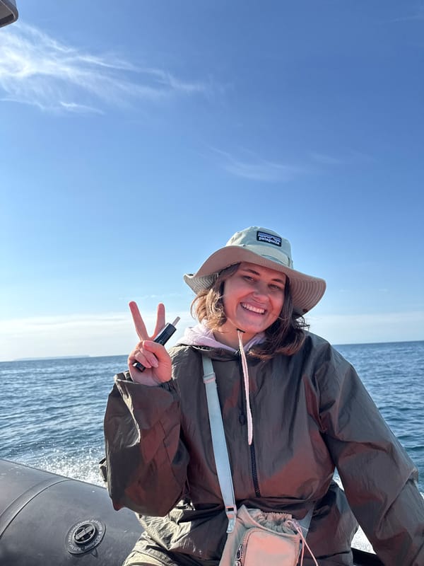 Inflatable boat ride through choppy Arctic waters, Russian coast