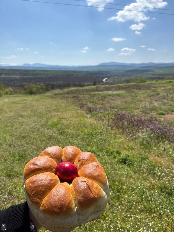 Spring landscape documented near Lukovit, Bulgaria