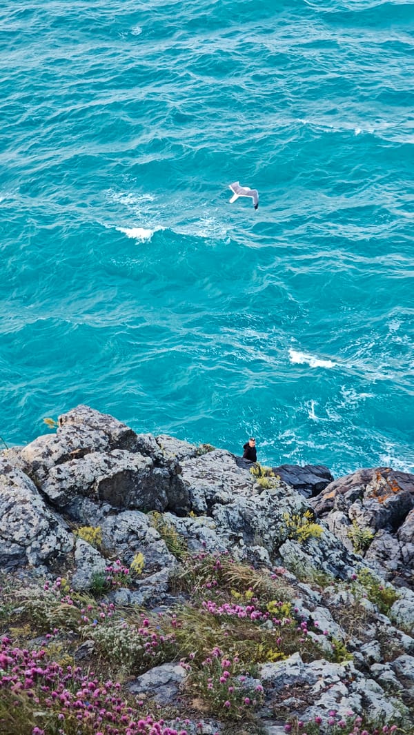 Person stands on rocky coast as seagull flies over Sozopol waters