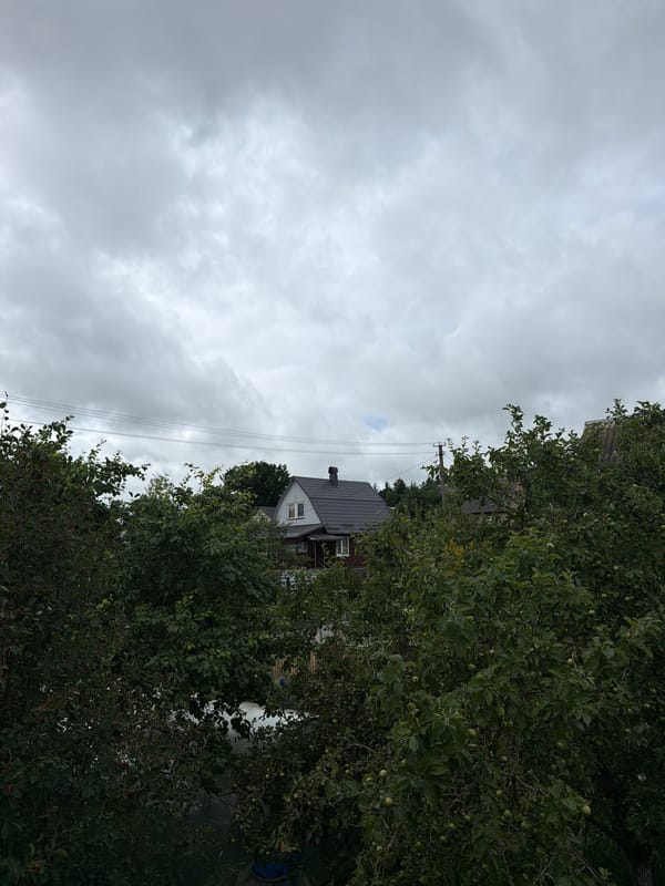 Grey summer morning in a rural Belarusian village