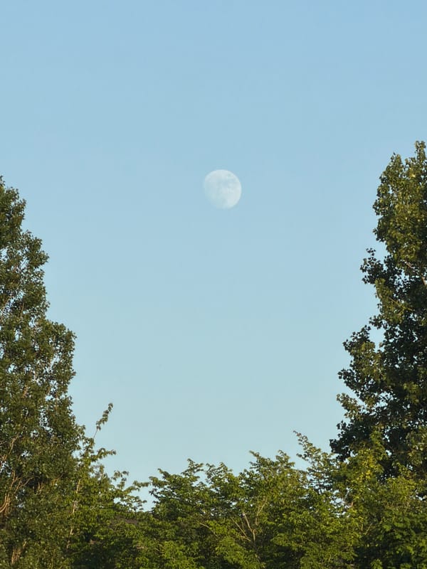 Evening scenes documented across Esch-sur-Alzette, Luxembourg