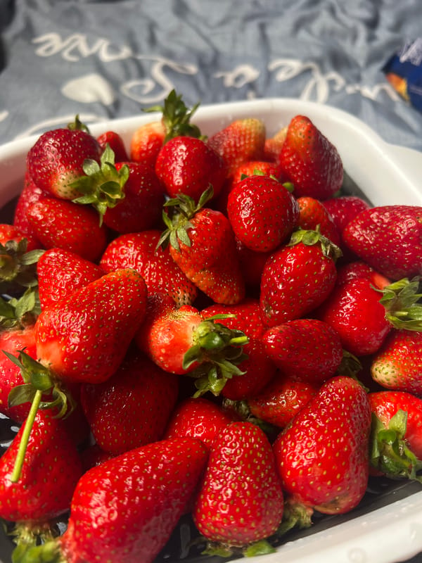Fresh strawberries displayed in container in Krasnodar, Russia