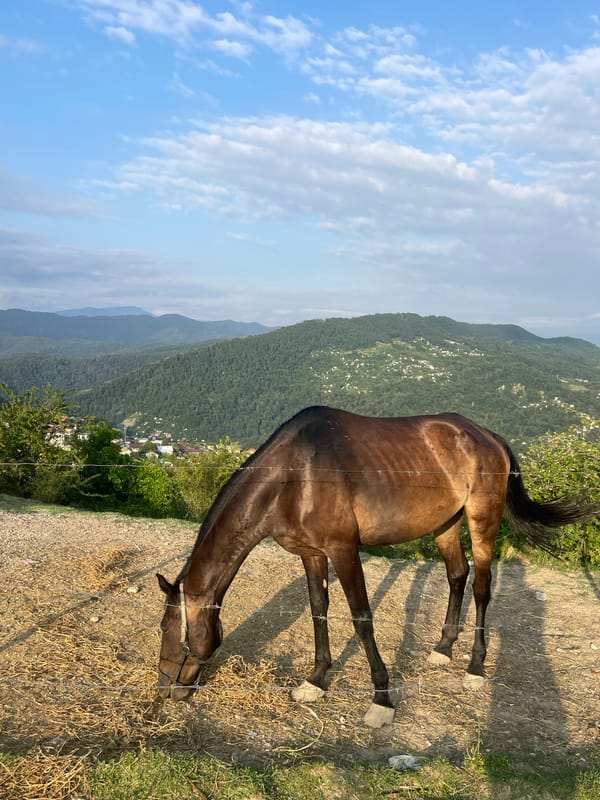 Horses graze above a Russian valley town, dirt bike nearby