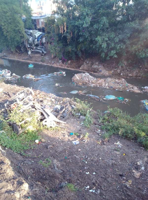 Environmental degradation documented in Nairobi informal settlements