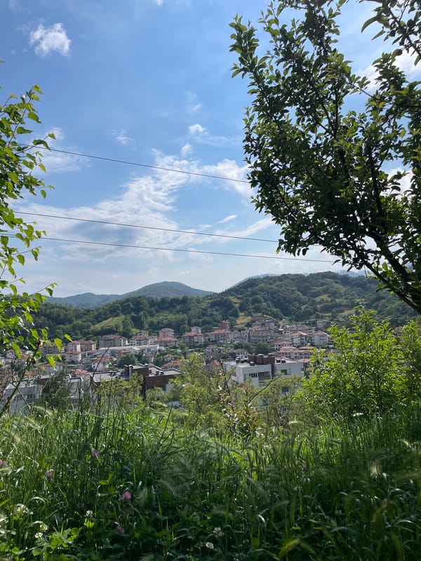 Ordinary life documented in Bulgarian mountain town: cats, cars, countryside