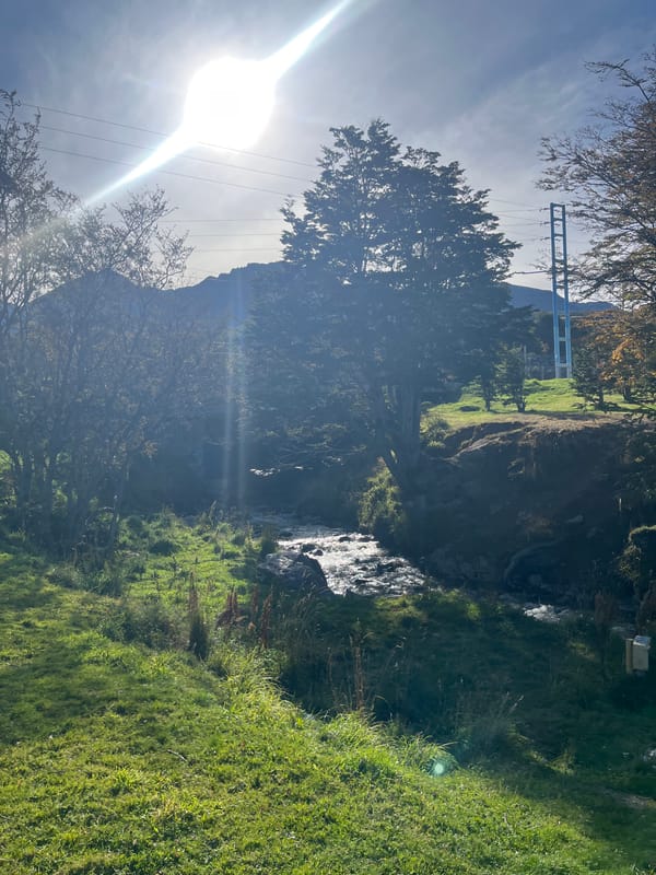 Stream flows through green hillside landscape in Ushuaia