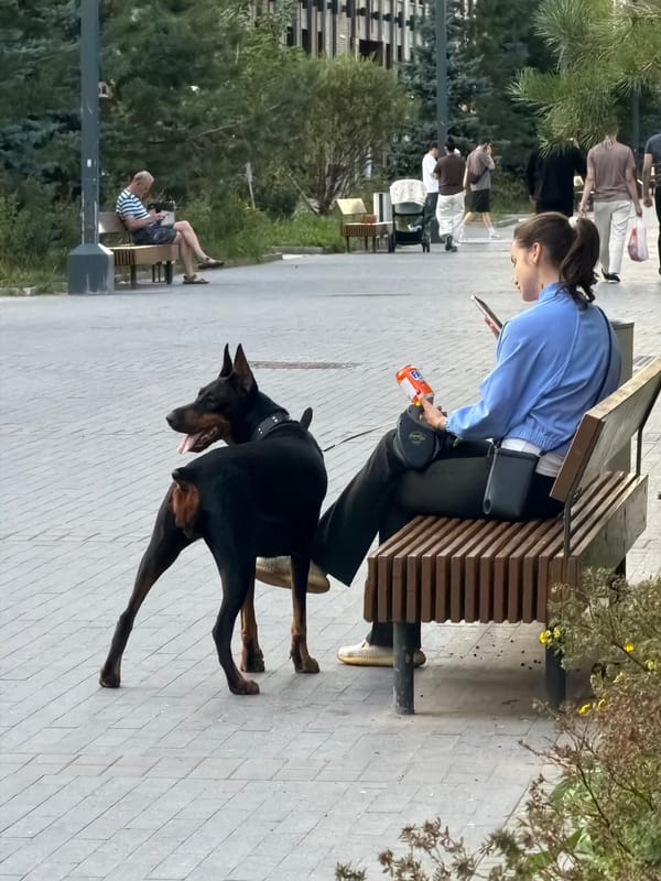 Moscow park and street life on a summer afternoon