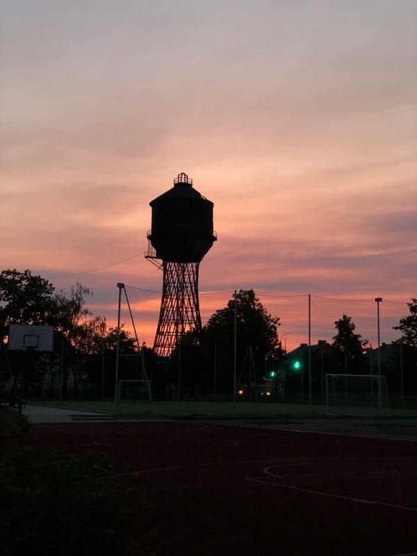 Neighborhood dusk — power lines, water towers, and garden flowers