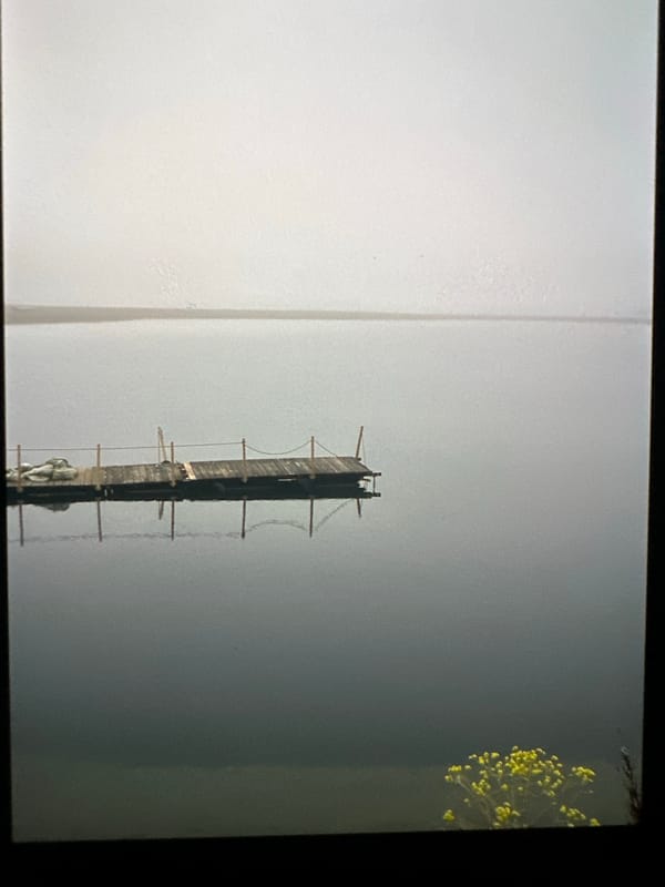 Unrelated everyday scenes: dock, park path, street view, fruit