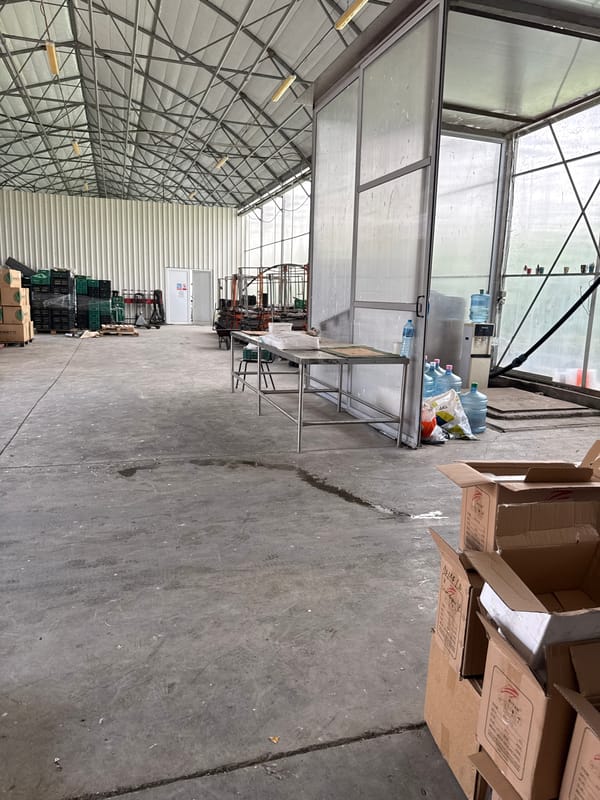 Worker documents greenhouse operations in Stara Zagora facility