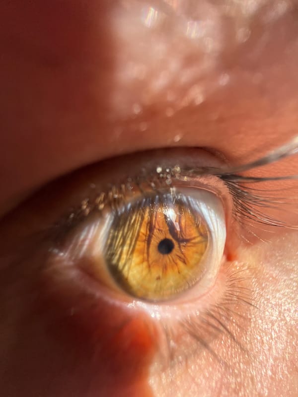 Driver photographed in vehicle sequence in Shumen, Bulgaria