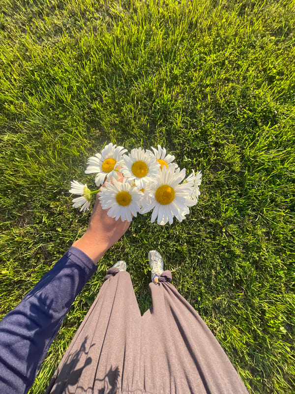 Lazy summer afternoon in Podshivalovo: daisies, strawberries, and sunshine