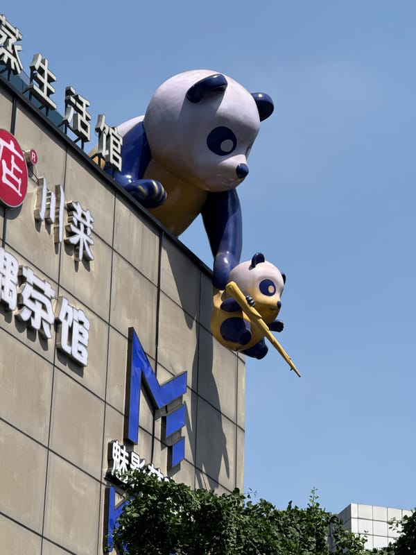 Daily life scenes documented in Jinjiang District, Chengdu