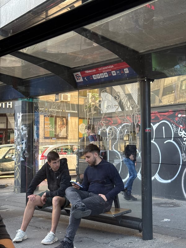 Graffiti-covered bus stop documented in Belgrade's Vracar district