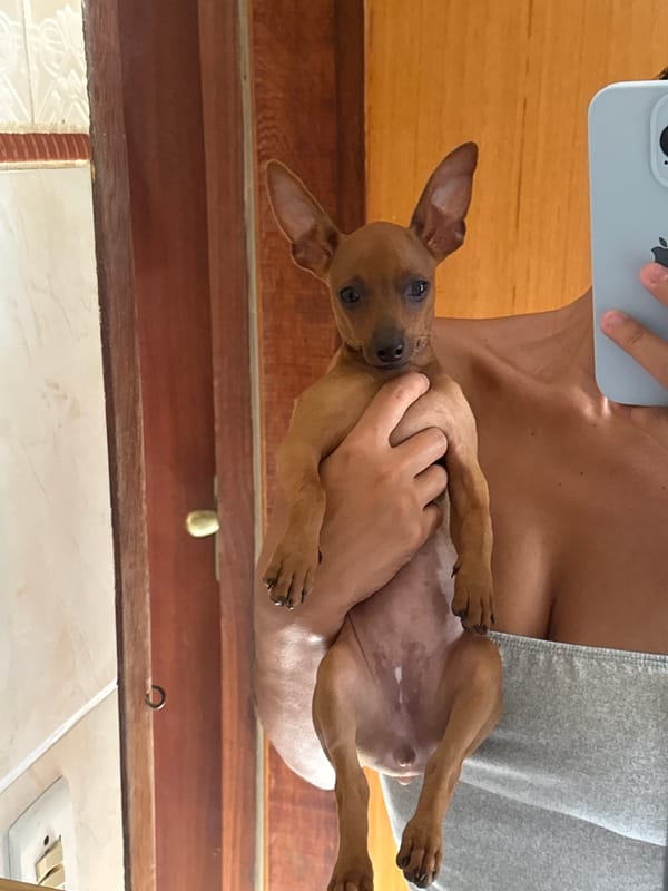 Person captures mirror selfie with small dog in Cabo Frio