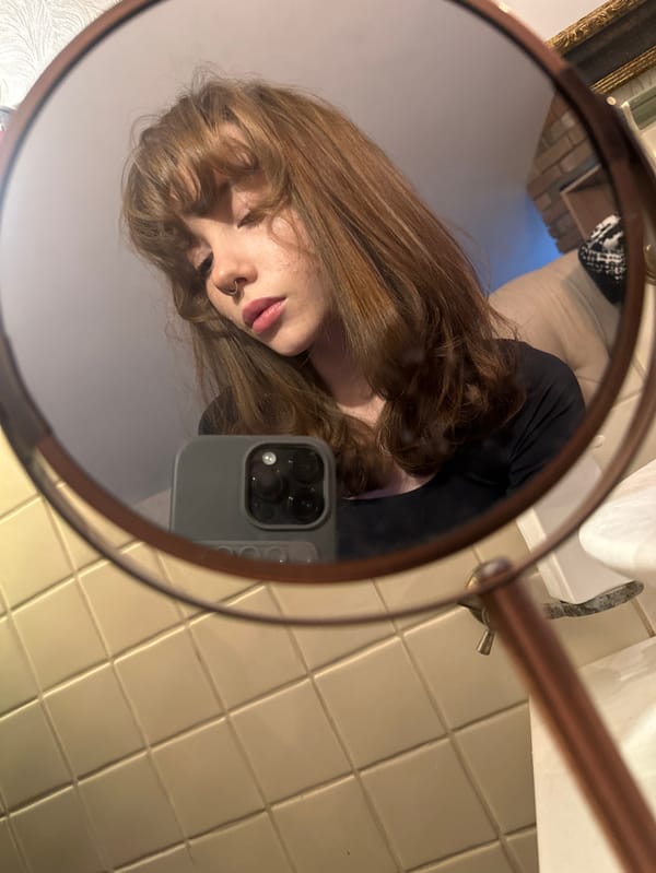 Private bathroom mirror selfies captured over morning hours