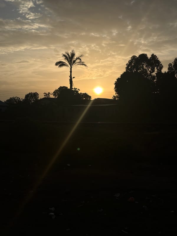 Sunrise breaking over Bukuru's roads and palm trees