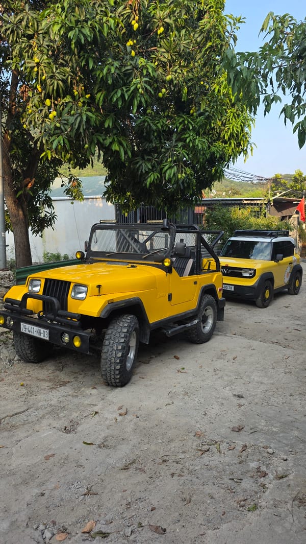 Yellow off-road vehicles spotted at Vietnam heritage area with coral