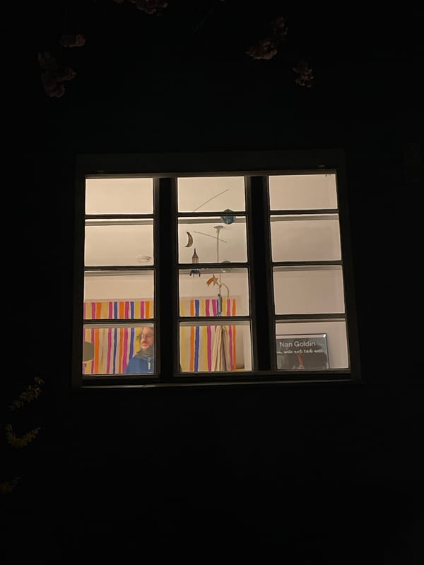 Illuminated window glimpse reveals interior with photography book in Berlin