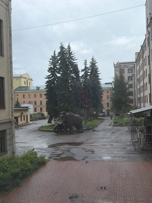 Museum tour through Saint Petersburg's classical architecture and exhibits