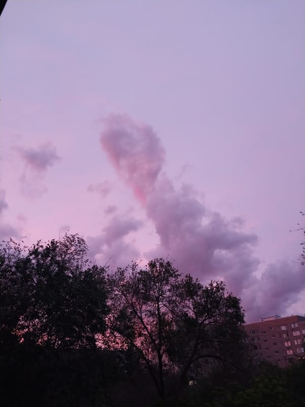 Pink sunset observed over Orenburg apartment district