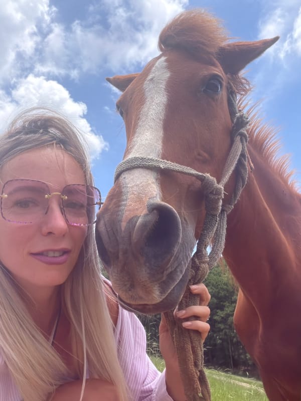 Selfies and close-ups with a chestnut horse in Da Lat