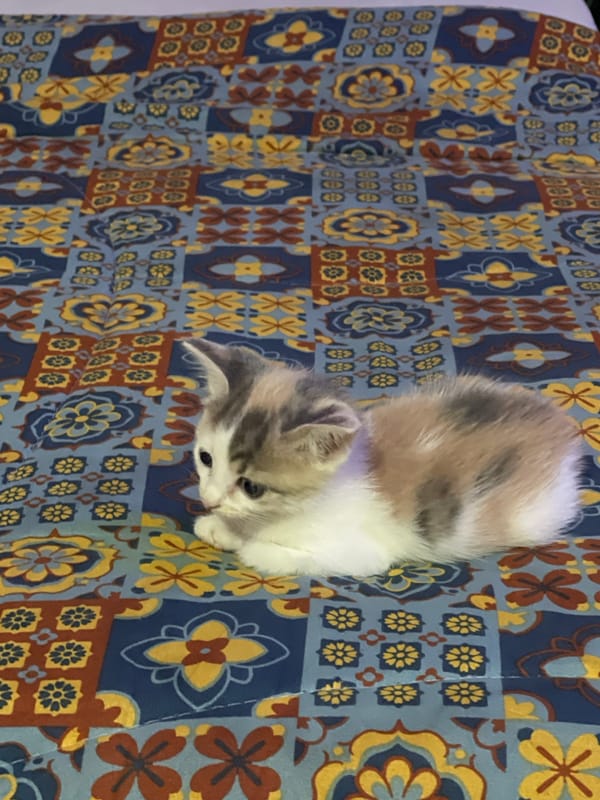 Domestic life documented in Gwarinpa Nigeria home