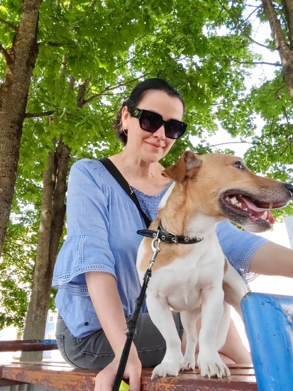 Sunny day out with a dog, bench and street scenes