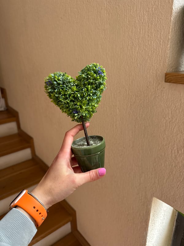Person holds small flowering plant upside down in Sofia