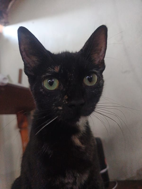 Daily life moments captured in Tinaquillo, Venezuela