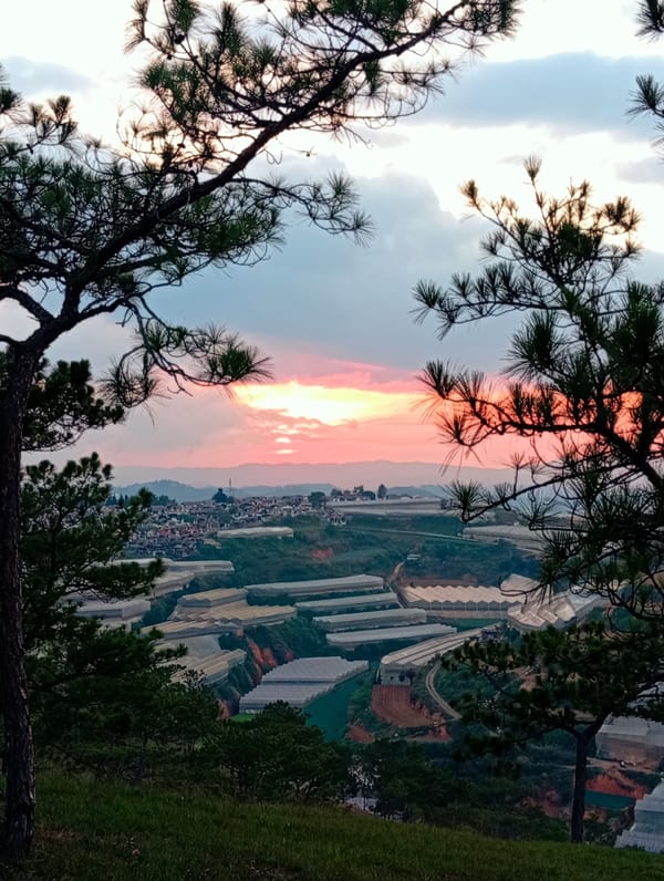 Sunset views captured over Lạc Dương hillsides and pine forests