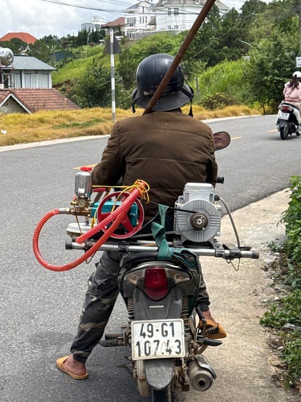 Street life and colonial-era architecture in central Đà Lạt
