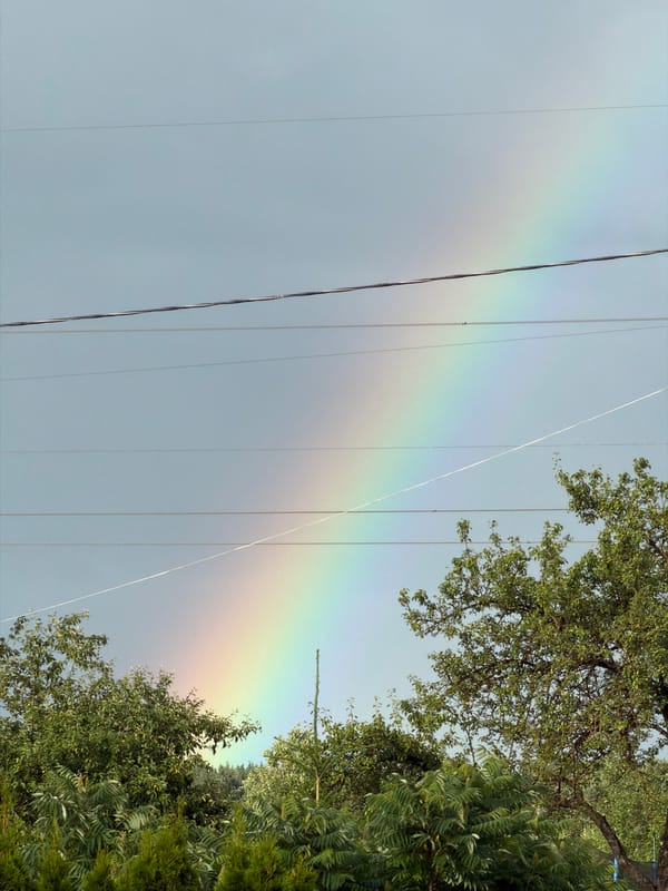 Rainbow over Dreiliņi, with lilies waiting nearby