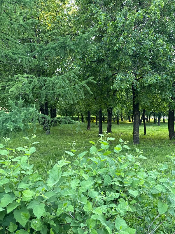 Quiet afternoon moments captured in Dolgoprudny suburb