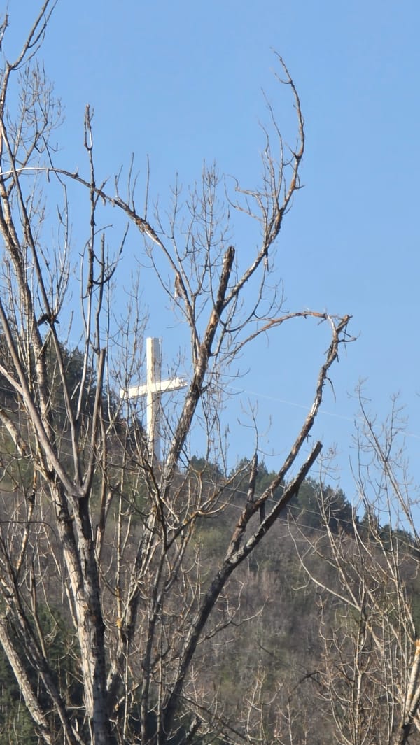 Morning walk through sunny Blagoevgrad parks and forests documented