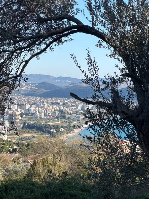 Elevated view of coastal Šušanj, Montenegro documented