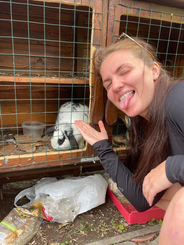 Woman visits rabbit enclosures at Molokovo waterfront