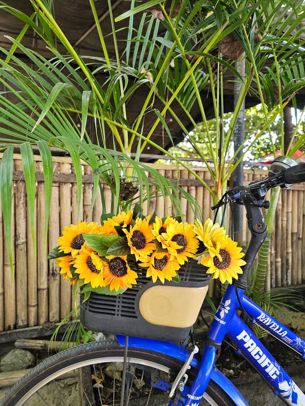 Everyday coastal life documented across Denpasar beaches and pathways
