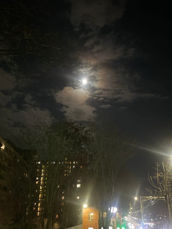 Moonlit night scene captured in urban Yerevan