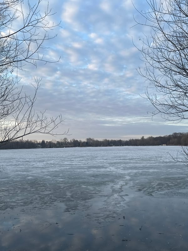 Winter scenes documented along frozen Moscow waterway