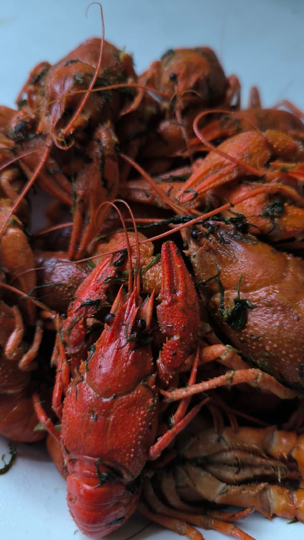 Rainy day outside, crawfish on the table