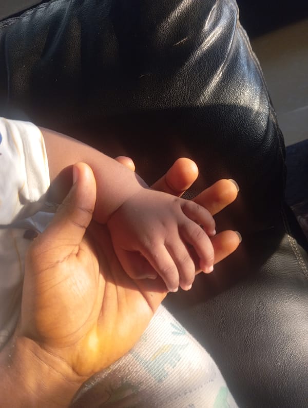 Tender domestic moments captured during morning hours