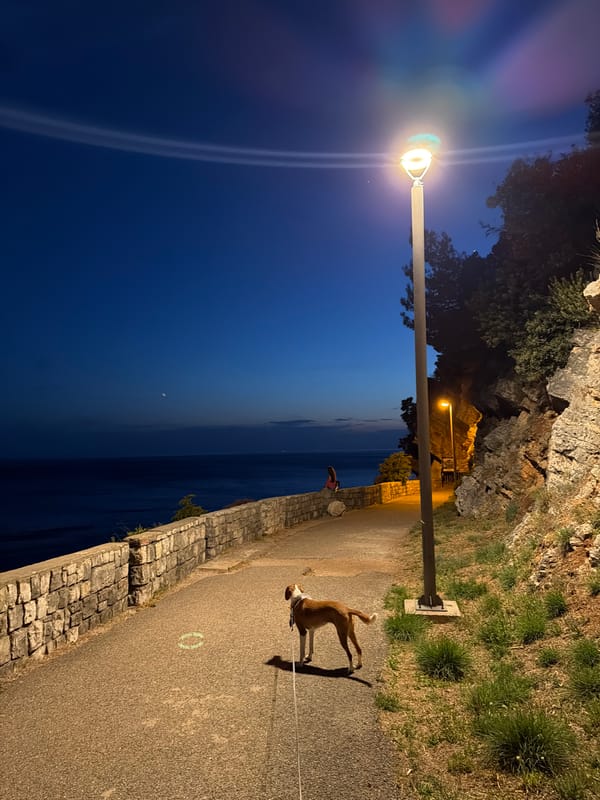Evening dog walk captured along waterfront in Mirište, Montenegro