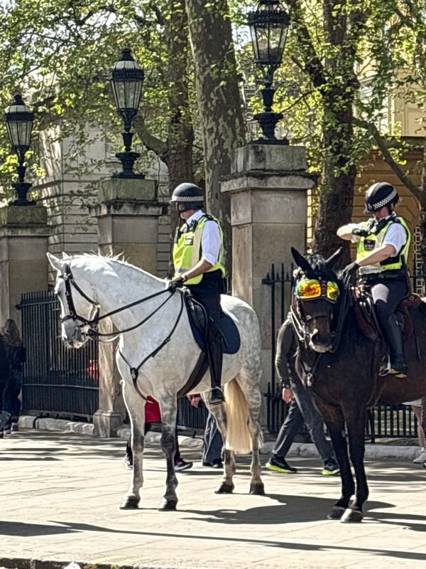Mounted police patrol London streets on horseback
