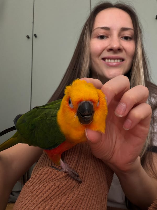 Woman holds colorful parrot in Khimki, Russia