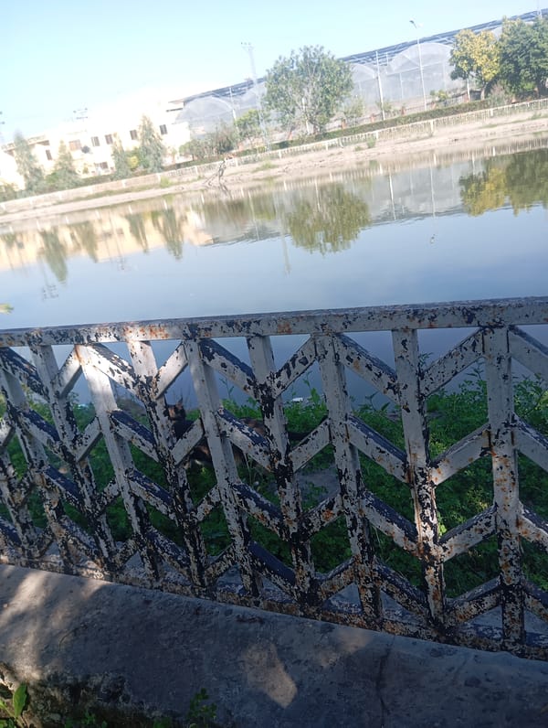 Morning stroll documented through Chah Sultan community park spaces