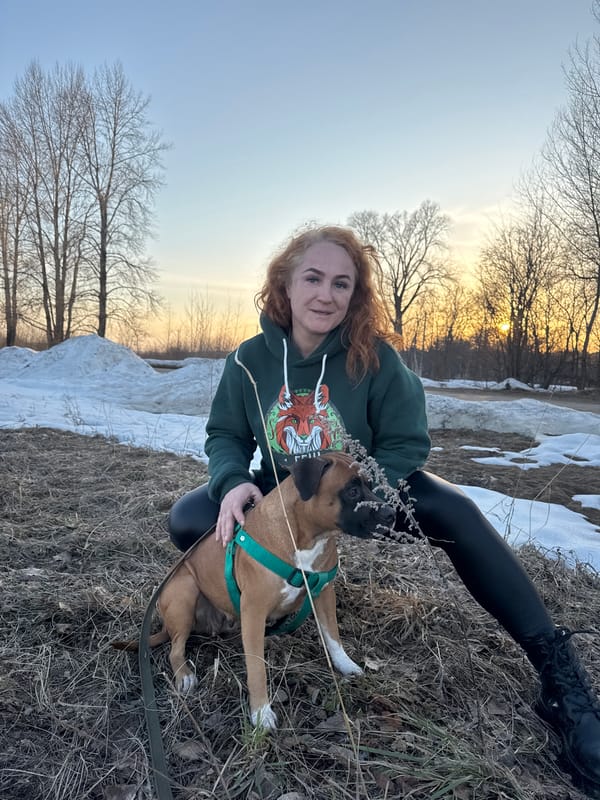 Woman walks boxer dog in spring landscape in Chaikovsky
