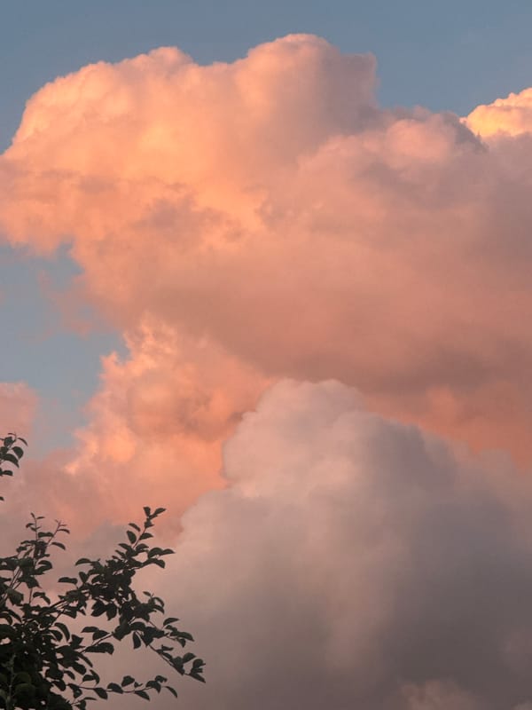 Dusk skies and a resting dog in rural Hraniv
